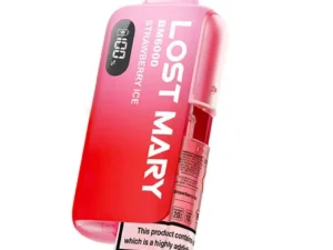 Lost Mary BM6000 Prefilled Pod Kit-Strawberry Ice